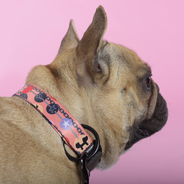 United Pets Complete me Forever ошейник для собак, L 43-73/2,5 см, оранжевый с рисунком