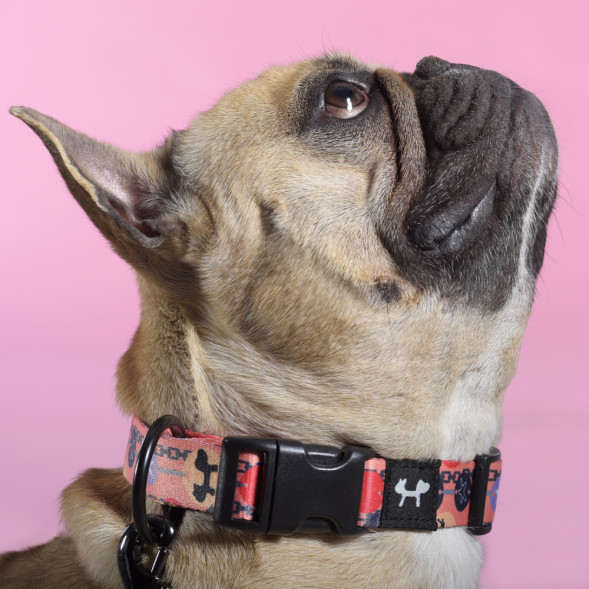 United Pets Complete me Forever ошейник для собак, L 43-73/2,5 см, оранжевый с рисунком