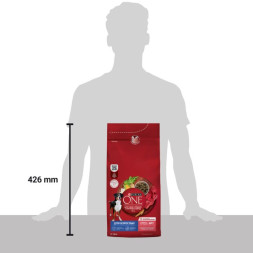 Сухой корм Purina ONE для взрослых собак средних и крупных пород с говядиной и рисом 1.8кг