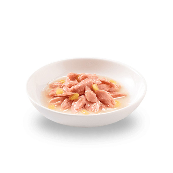 Schesir Cat Adult влажный корм для взрослых кошек с тунцом и манго в консервах - 75 г х 14 шт