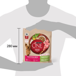 Сухой корм Purina ONE МИНИ Здоровый вес для собак мелких пород, склонных к набору веса сnbsp; индейкой и с рисом 600г
