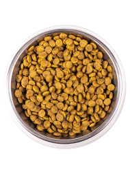 Monge Cat Urinary сухой корм для взрослых кошек для профилактики МКБ 1,5 кг