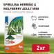 Farmina N&amp;amp;D Dog Spirulina Herring &amp;amp; Wolfberry Adult Mini сухой корм для взрослых собак мелких пород, с сельдью и ягодами годжи - 2 кг