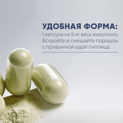 Best Dinner BD Nutrition Мультивит пищевая добавка для кошек - 60 капсул