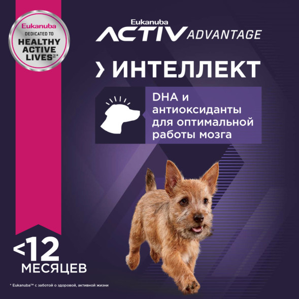 Сухой корм Eukanuba Puppy Small Breed для щенков мелких пород с курицей - 800 г