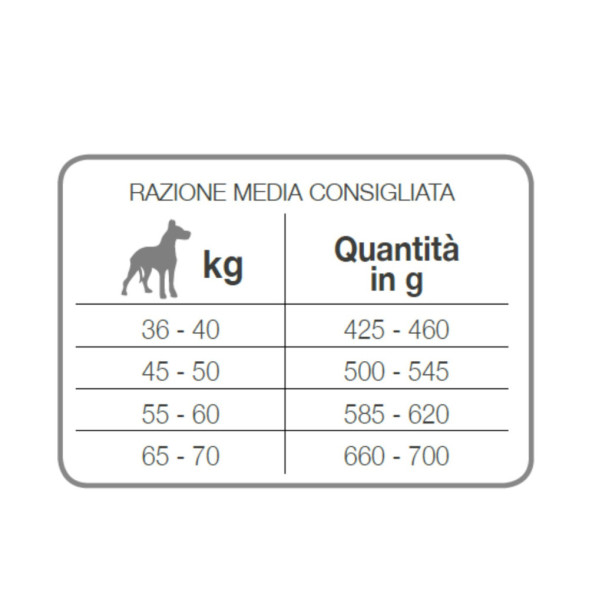 Forza10 Best Breeders Adult Maxi сухой корм для взрослых собак крупных пород из рыбы - 20 кг