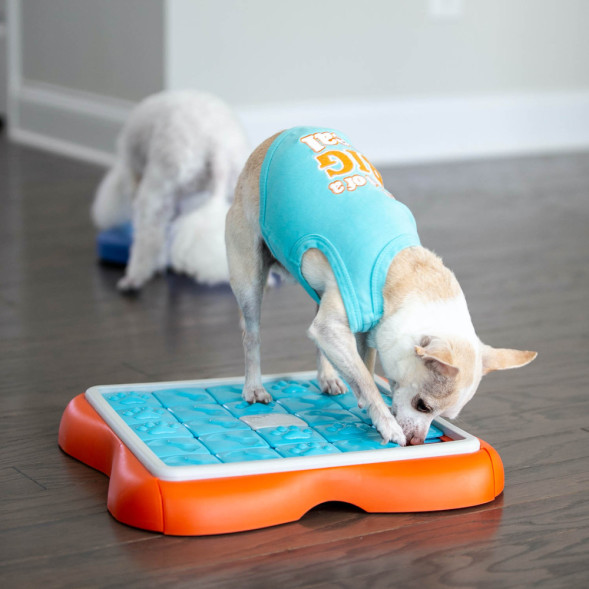 Nina Ottosson Challenge Slider игра-головоломка для собак, 3 уровень сложности (продвинутый)