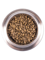 Monge Dog Speciality Mini Puppy &amp;amp; Junior сухой корм для щенков мелких пород с ягненком и рисом 800 г