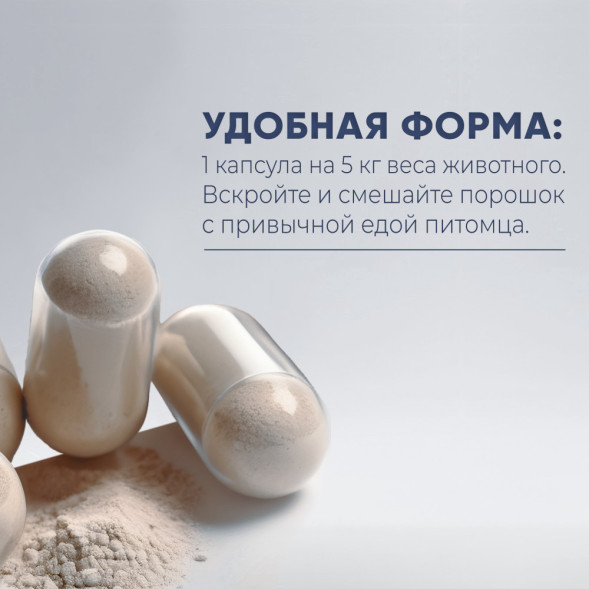 Best Dinner BD Nutrition Иммуновит пищевая добавка для кошек - 60 капсул