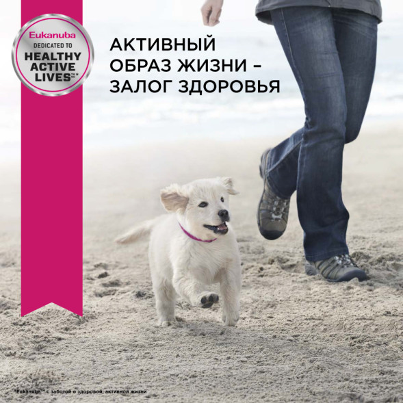 Сухой корм Eukanuba Puppy Small Breed для щенков мелких пород с курицей - 10 кг