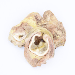 Organic Сhoice лакомство для собак уши говяжьи - 50 г