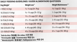 Now Fresh GF DF (24/14) сухой беззерновой корм для взрослых собак с чувствительным пищеварением с форелью и лососем - 9,98 кг