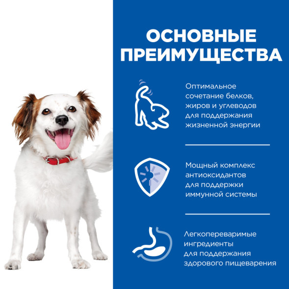 Hills Science Plan Small&amp;amp;Mini влажный корм для взрослых собак мелких пород, с курицей, в консервах - 200 г x 6 шт