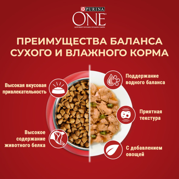 Purina One Мини сухой корм для взрослых собак мелких пород, с высоким содержанием говядины и рисом - 7 кг