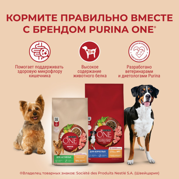 Purina One Мини сухой корм для взрослых собак мелких пород, с высоким содержанием говядины и рисом - 7 кг