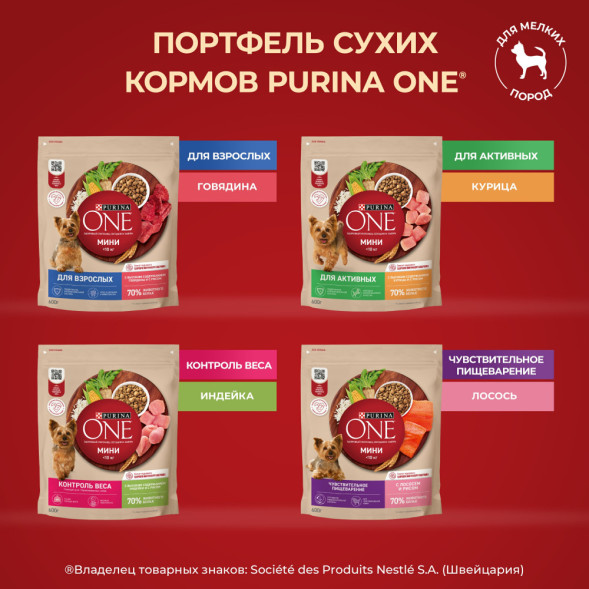 Purina One Мини сухой корм для взрослых собак мелких пород, с высоким содержанием говядины и рисом - 7 кг