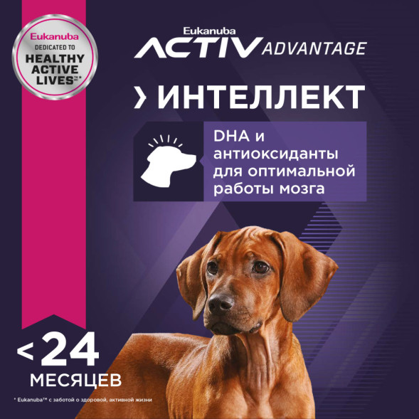 Сухой корм Eukanuba Puppy Large Breed для щенков крупных пород с курицей - 3 кг