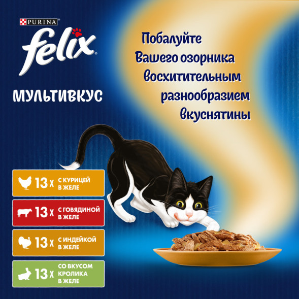 Felix Аппетитные кусочки влажный корм для кошек мультипак с курицей, индейкой, говядиной и кроликом в желе, в паучах - 75 г х 52 шт
