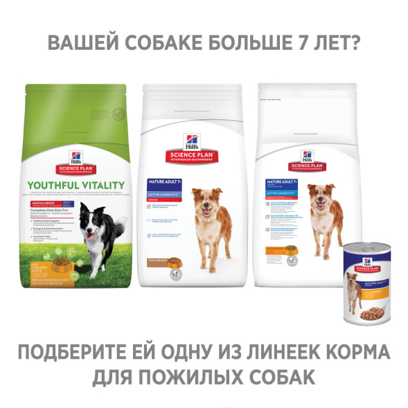 Сухой корм Hills Science Plan для пожилых собак (7+) средних пород для поддержания активности и здоровья желудочно - кишечного тракта, с курицей - 12 кг