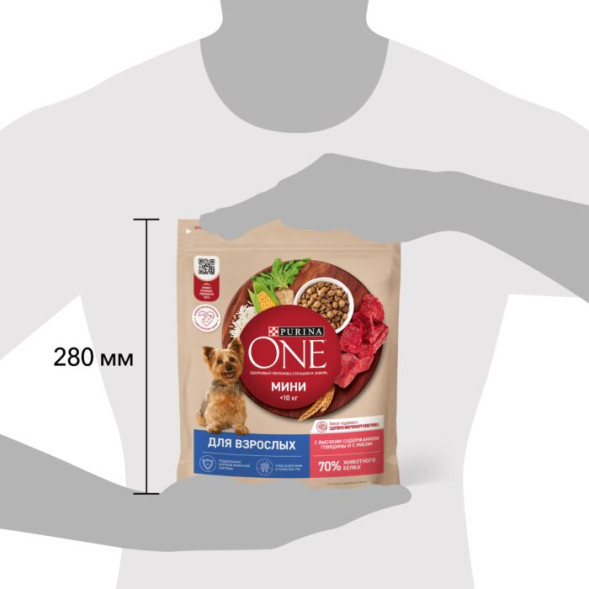 Сухой корм Purina ONE® МИНИ для взрослых собак, с говядиной и с рисом, 600 г