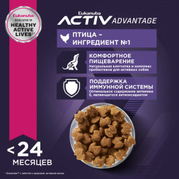 Сухой корм Eukanuba Puppy Large Breed для щенков крупных пород с курицей - 15 кг