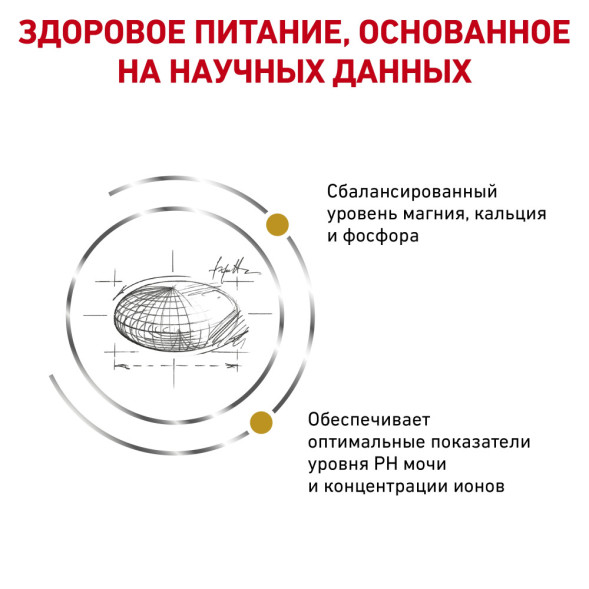 Сухой корм Royal Canin Urinary S/O LP34 для кошек при лечении и профилактике мочекаменной болезни - 400 г