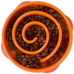 OutwardHound миска для собак для медленного поедания Водоворот, оранжевый, MD
