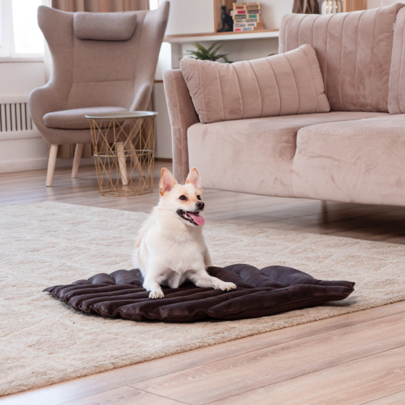 Mr.Kranch лежанка для собак Листочек, большая, 120х73х6 см, коричневая