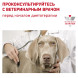 Royal Canin Hypoallergenic HSD 24 Small Dog сухой корм для взрослых собак при пищевой аллергии - 3,5 кг