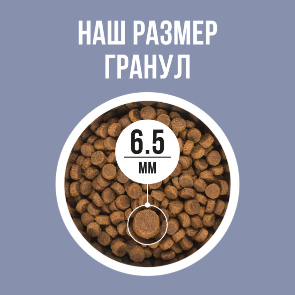 BOWL WOW сухой корм для котят, с курицей и черникой - 400 г