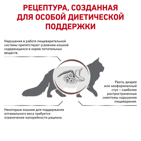 Royal Canin Gastro Intestinal Moderate Calorie низкокалорийный сухой корм для кошек с нарушениями в работе пищеварительной системы - 400 г