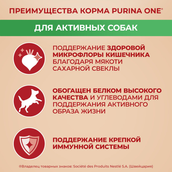 Purina One Мини сухой корм для активных взрослых собак мелких пород, с высоким содержанием курицы и рисом - 3 кг