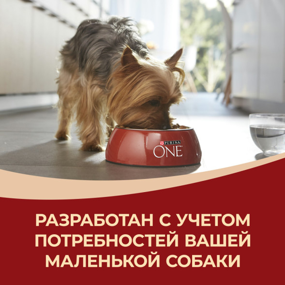 Purina One Мини сухой корм для активных взрослых собак мелких пород, с высоким содержанием курицы и рисом - 3 кг