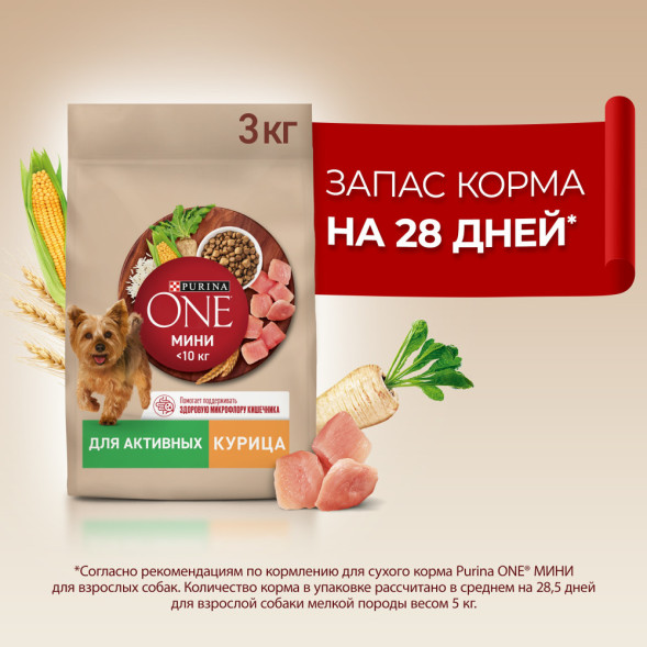 Purina One Мини сухой корм для активных взрослых собак мелких пород, с высоким содержанием курицы и рисом - 3 кг