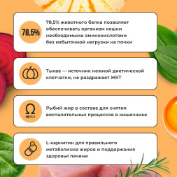 BOWL WOW сухой корм для кошек с чувствительным пищеварением, с индейкой и тыквой - 4 кг