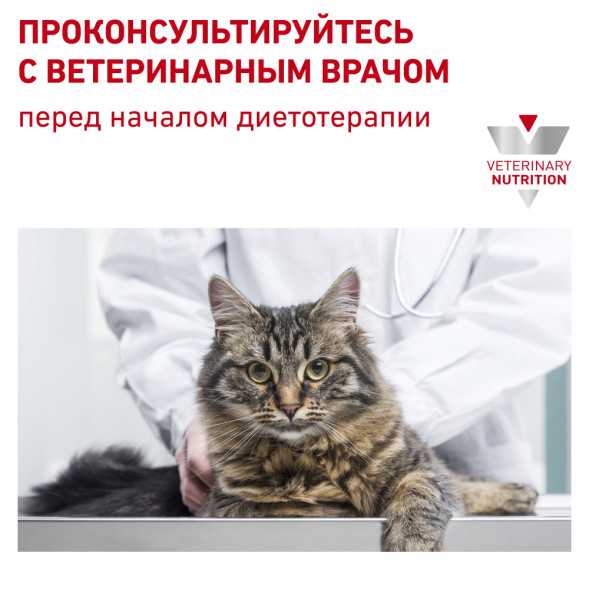 Royal Canin Gastro Int. Moderate Calorie GIM35 сухой корм с умеренным содержанием энергии для кошек при нарушении пищеварения - 2 кг