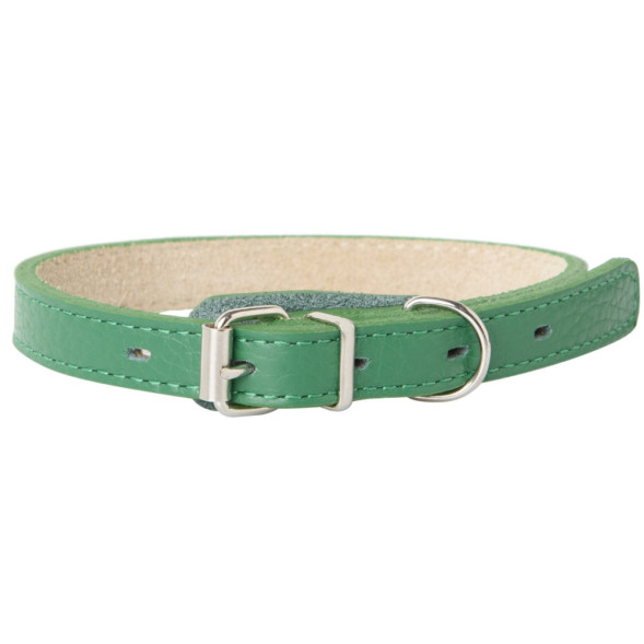Mr.Kranch ошейник для собак, из натуральной кожи, прямой, 39-50 см, зеленый