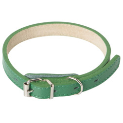 Mr.Kranch ошейник для собак, из натуральной кожи, прямой, 39-50 см, зеленый