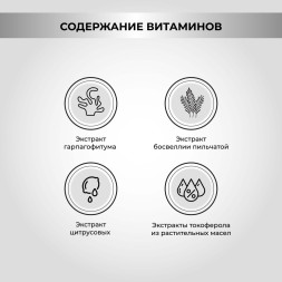 Necon Salmoil Joint Functionality Ricetta №6 лососевое масло для собак и кошек для поддержания здоровья суставов - 250 мл