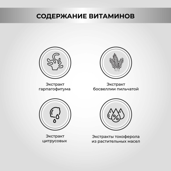 Necon Salmoil Joint Functionality Ricetta №6 лососевое масло для собак и кошек для поддержания здоровья суставов - 250 мл