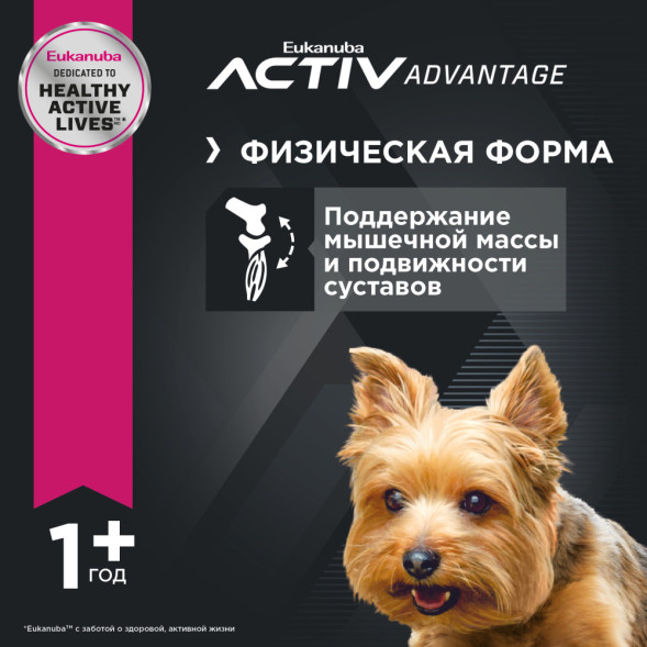 Сухой корм Eukanuba Adult Toy Breed для собак миниатюрных пород с птицей - 1,5 кг