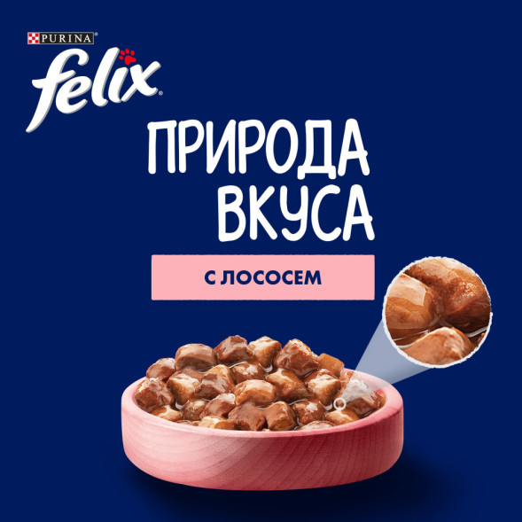 Felix Природа вкуса влажный корм для взрослых кошек с лососем, в паучах - 75 г х 26 шт