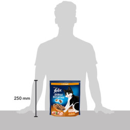 Сухой корм FELIX Двойная вкуснятина с птицей 600г