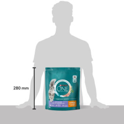 Сухой корм Purina ONE® для взрослых кошек для красивой шерсти, здоровой кожи и контроля образования волосяных комков с курицей 750 г