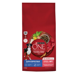 Purina ONE сухой корм для взрослых собак средних и крупных пород с говядиной и рисом - 10 кг