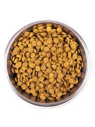 Monge Cat Monoprotein Sterilised сухой корм для стерилизованных кошек с форелью 400 г