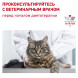Сухой корм Royal Canin Gastro Intestinal GI32 для кошек при нарушении пищеварения - 400 г