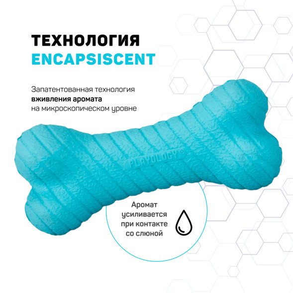 Playology DUAL LAYER BONE двухслойная жевательная косточка для собак с ароматом арахиса, маленькая, голубой