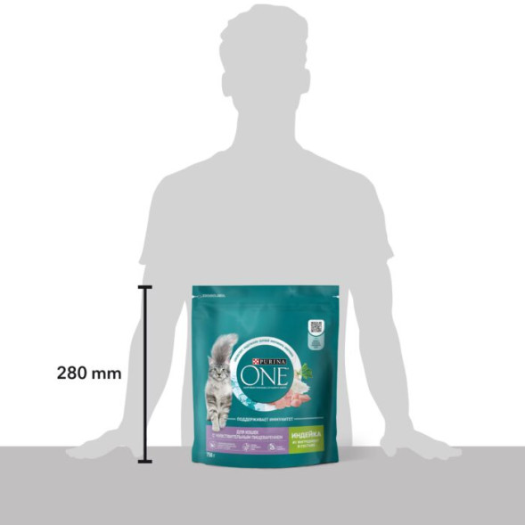 Сухой корм для взрослых кошек Purina ONE® при чувствительном пищеварении, с индейкой и рисом, 750 г