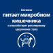 Сухой диетический корм для собак Hills Prescription Diet Gastrointestinal Biome при расстройствах пищеварения и для заботы о микробиоме кишечника, c курицей, -10 кг